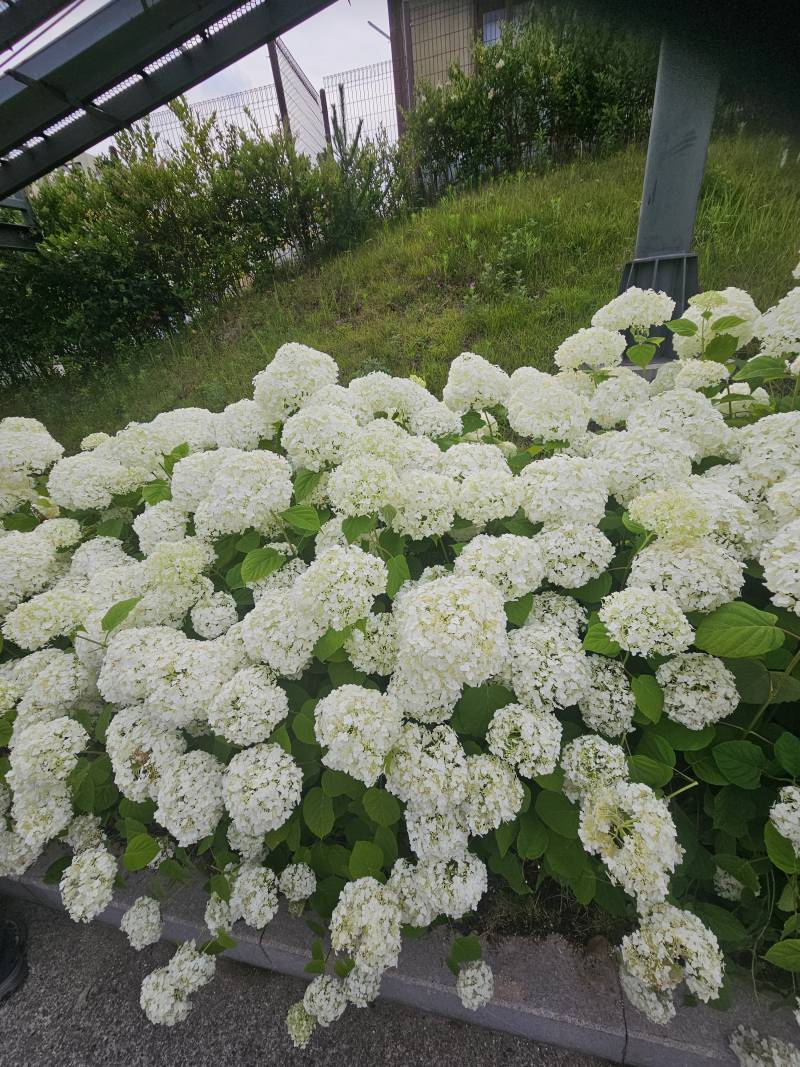 [잡담] | 인스티즈