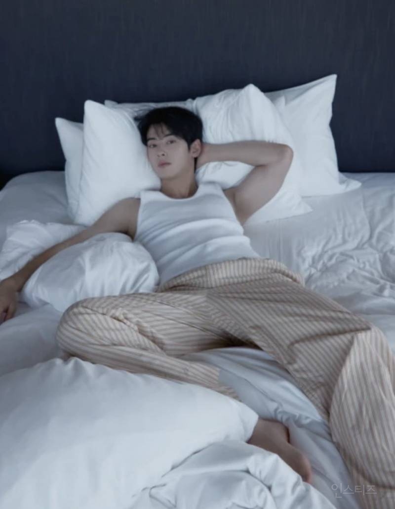 로판 현실판이라는 차은우 팬미팅 포스터.jpg | 인스티즈