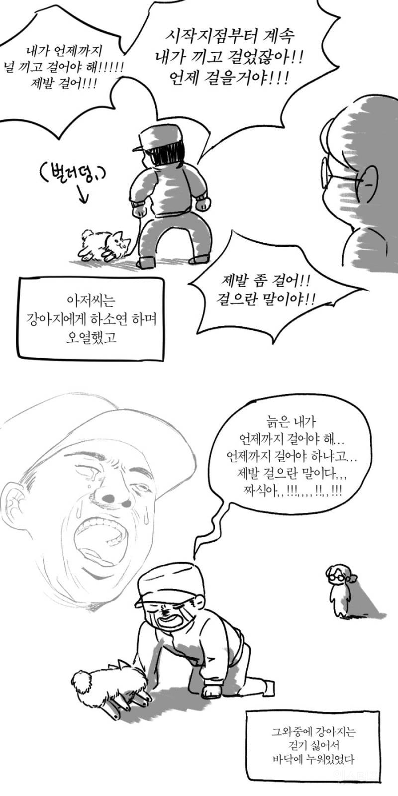개모차가 강아지들의 관절과 건강을 위해 좋니 어쩌니 하는데 | 인스티즈