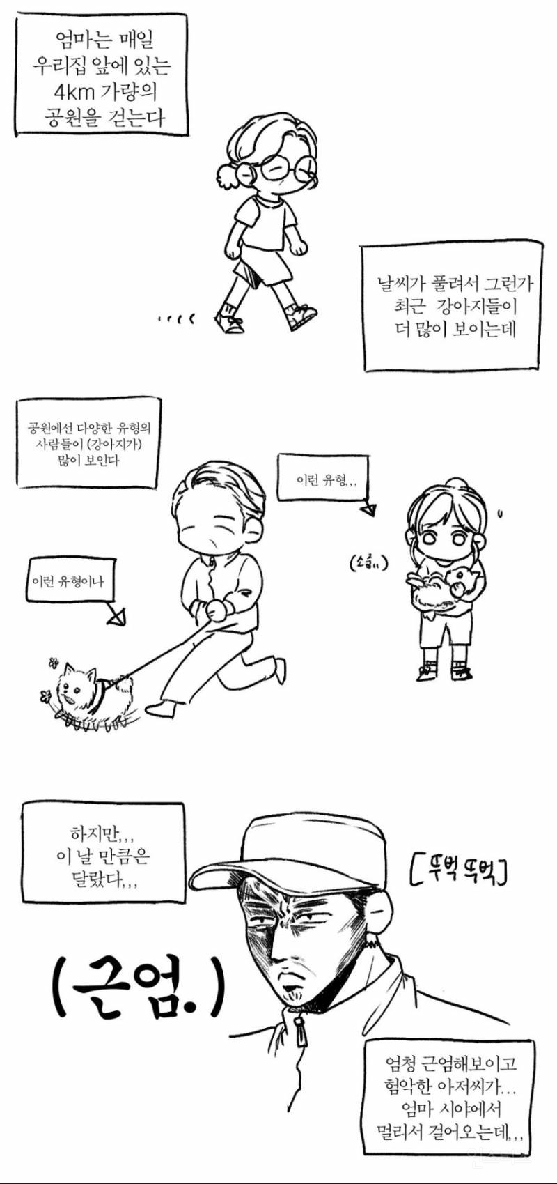 개모차가 강아지들의 관절과 건강을 위해 좋니 어쩌니 하는데 | 인스티즈