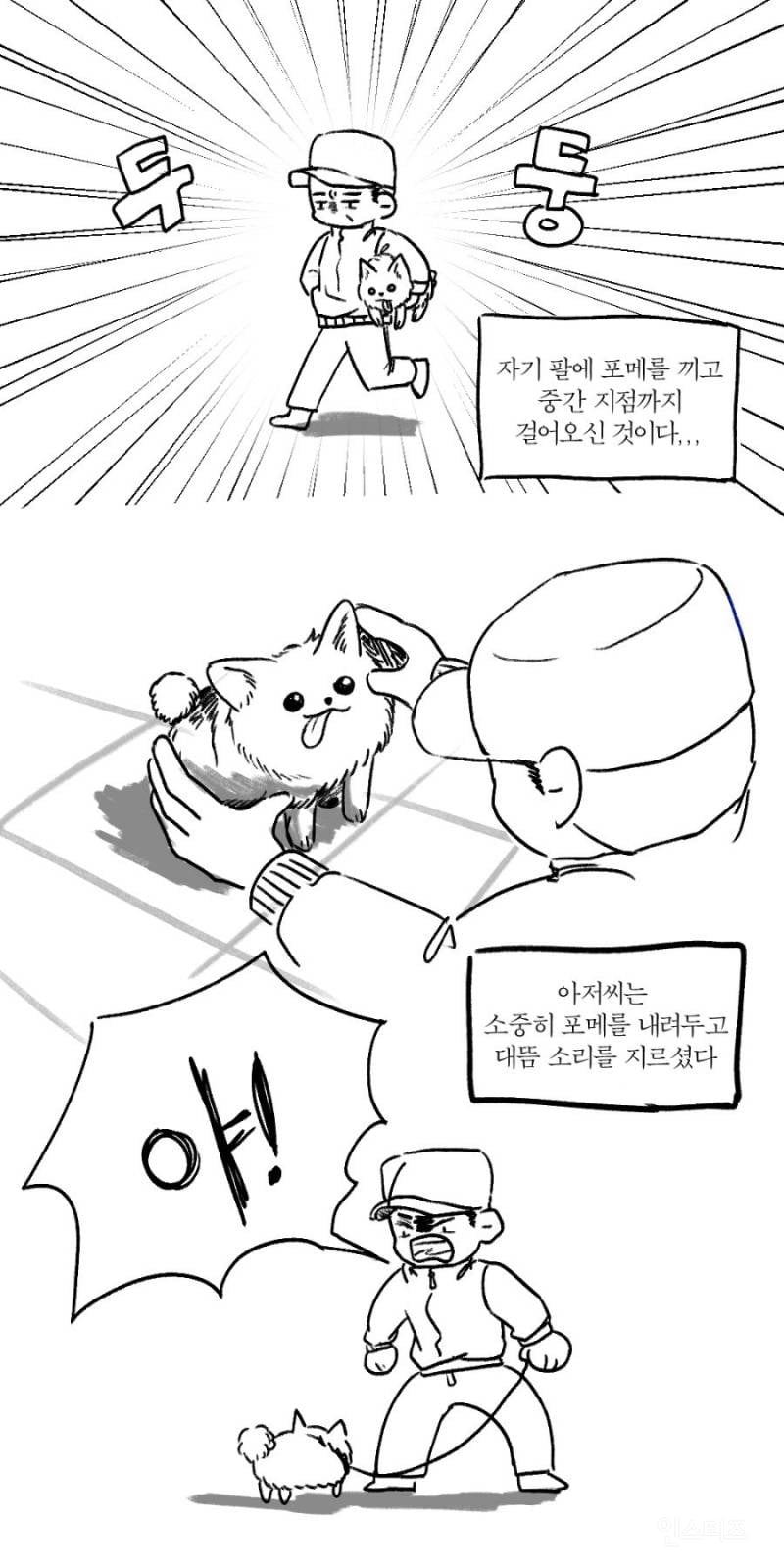 개모차가 강아지들의 관절과 건강을 위해 좋니 어쩌니 하는데 | 인스티즈