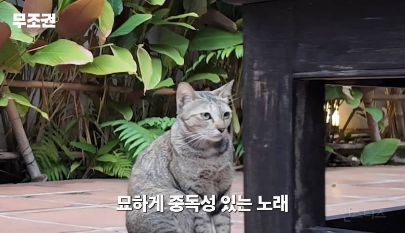 JYP에서 가르친다는 맛없는 발성 연습법.jpg | 인스티즈