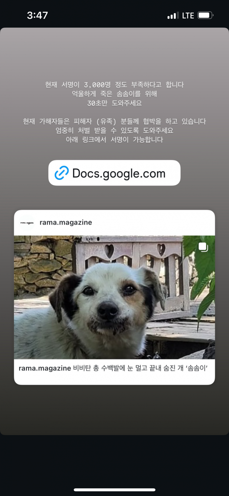 [잡담] 얘들아 거제도 비비탄 가해자들 서명 부탁해..ㅠㅠ공유도 부탁해.. | 인스티즈