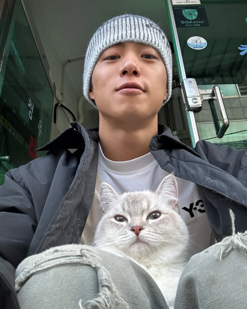 키우는 고양이랑 닮은 것 같은 모델 비주얼 | 인스티즈