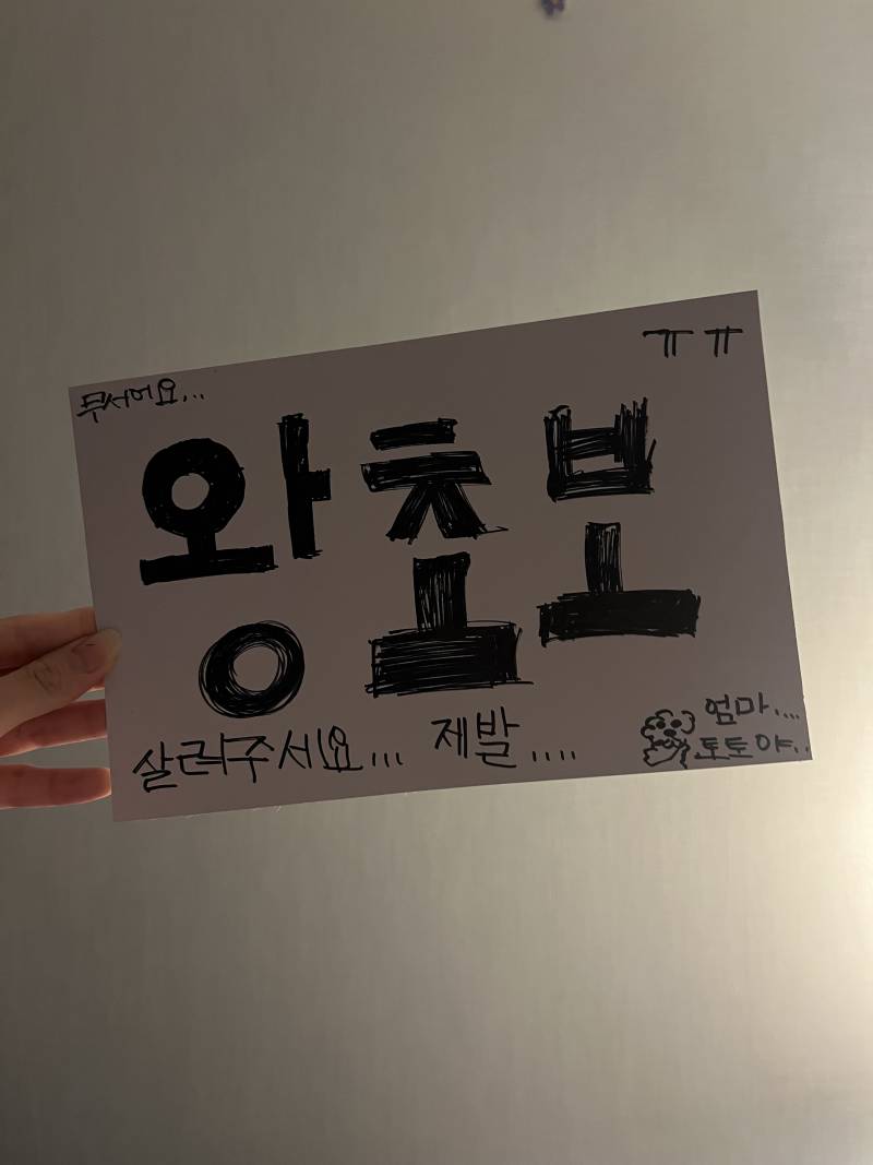 [잡담] 운전자익들... 앞차에 이거 있으묜 봐줄거야....? ㅠ 잏일보험 듶거야 | 인스티즈