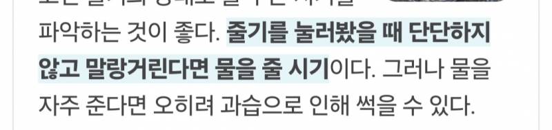 [잡담] 나 드루이드인가?(아님) | 인스티즈
