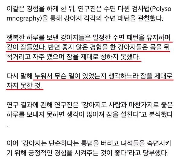 🐶댕댕이도 속상하면 밤잠을 설친다 | 인스티즈