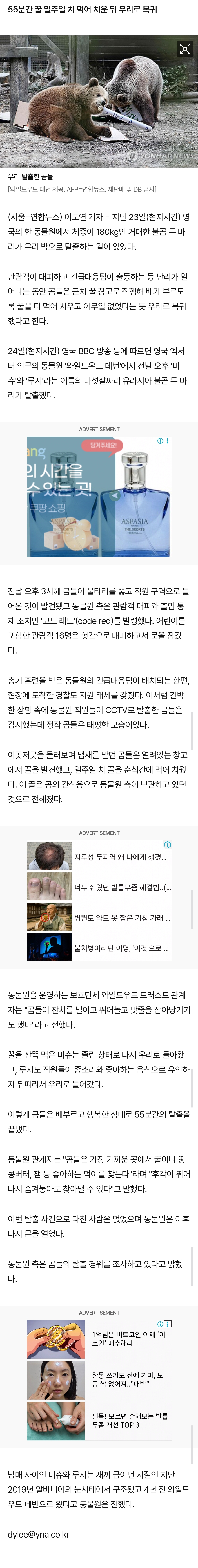 [정보/소식] 동물원 우리 탈출한 180㎏ 곰 2마리, '꿀 창고'로 직행 | 인스티즈