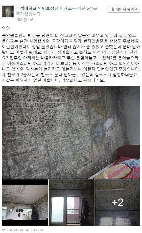 반지하 원룸을 한달 비웠던 대학생 참사(더러움 주의) | 인스티즈