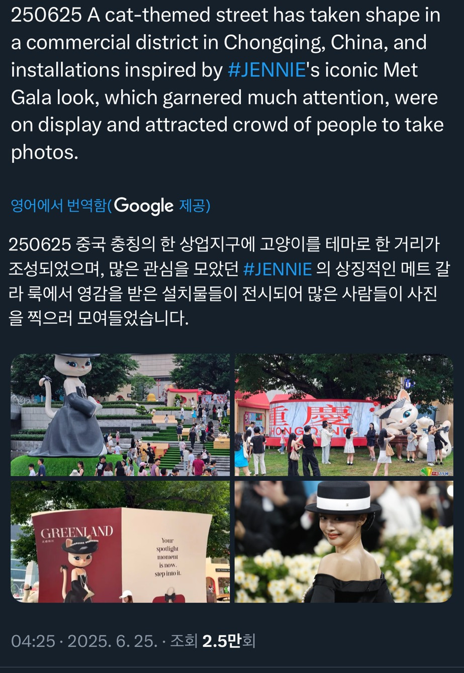 [잡담] 중국에서 제니 멧갈라 의상 고양이 설치함 | 인스티즈