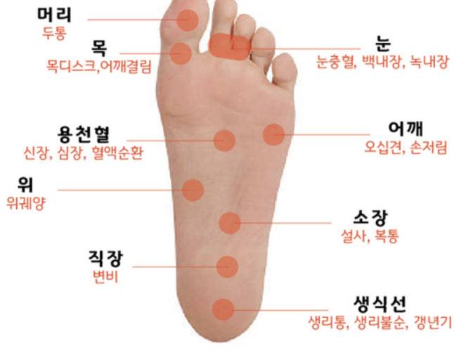 [잡담] 지간신경종 알아? | 인스티즈