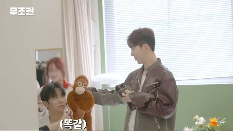 임슬옹 보고 똑같이 닮았다고 한 인형.jpg | 인스티즈