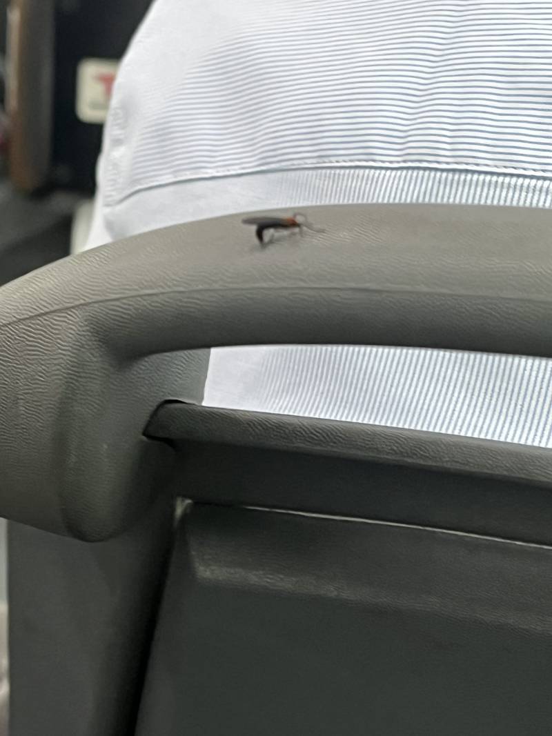 [잡담] 이 벌레쉨끼 이젠 버스도 타네 | 인스티즈