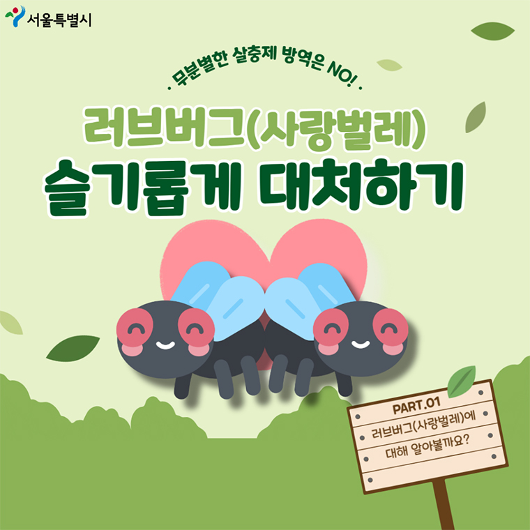 [정보/소식] 서울 전역에 발생한 '러브버그' 대처법 3가지 알아두세요! | 인스티즈