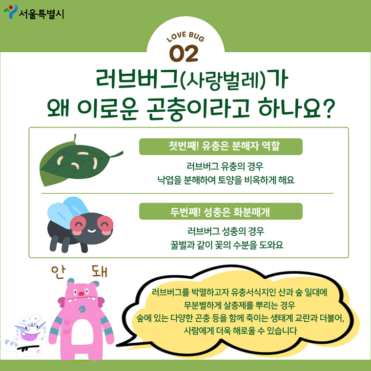 [정보/소식] 서울 전역에 발생한 '러브버그' 대처법 3가지 알아두세요! | 인스티즈
