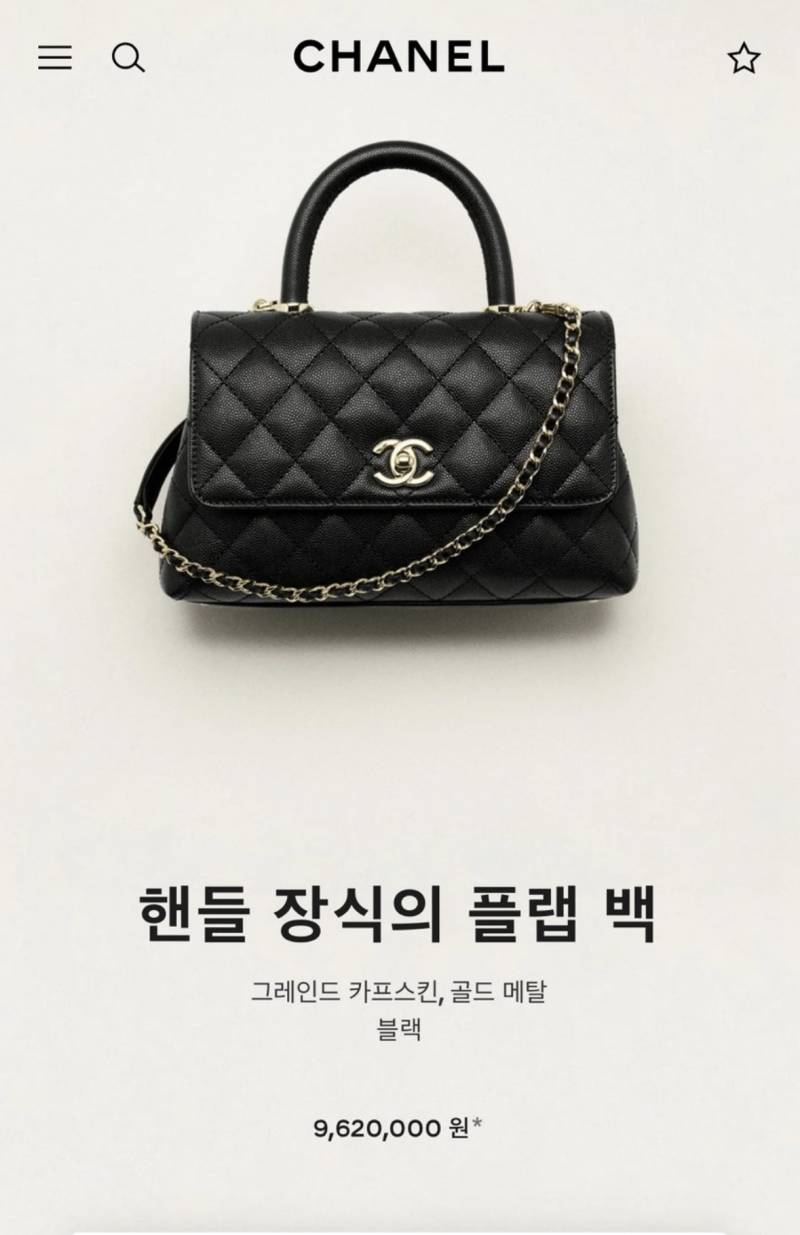 [잡담] 익들이라면 샤넬 가방 살말🖤 | 인스티즈