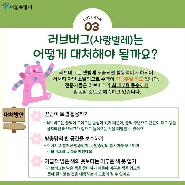 [정보/소식] 서울 전역에 발생한 '러브버그' 대처법 3가지 알아두세요! | 인스티즈