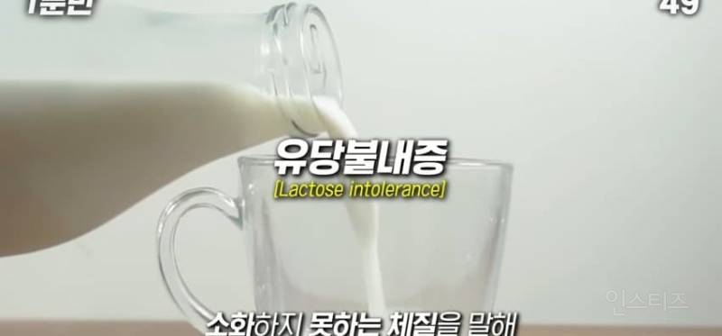 한국인이 유독 우유먹고 배아픈 이유 | 인스티즈