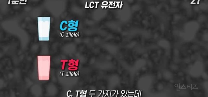 한국인이 유독 우유먹고 배아픈 이유 | 인스티즈