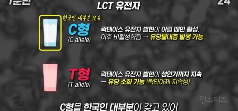 한국인이 유독 우유먹고 배아픈 이유 | 인스티즈