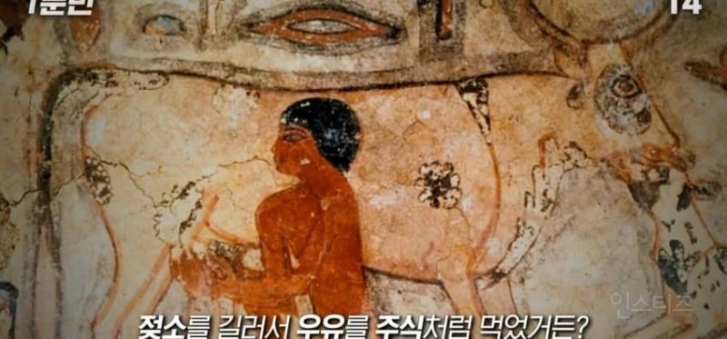 한국인이 유독 우유먹고 배아픈 이유 | 인스티즈