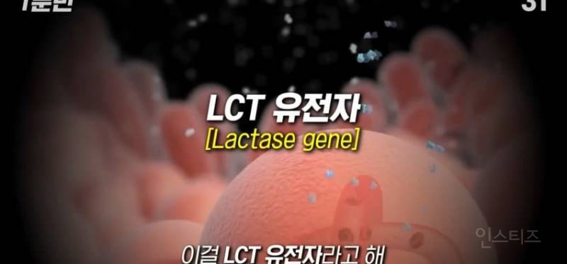 한국인이 유독 우유먹고 배아픈 이유 | 인스티즈