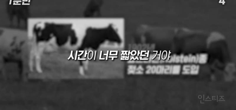 한국인이 유독 우유먹고 배아픈 이유 | 인스티즈