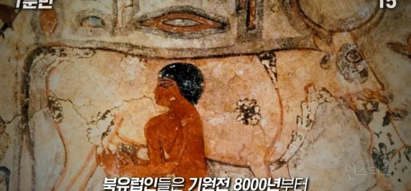 한국인이 유독 우유먹고 배아픈 이유 | 인스티즈