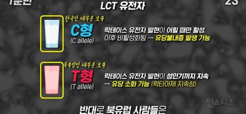 한국인이 유독 우유먹고 배아픈 이유 | 인스티즈