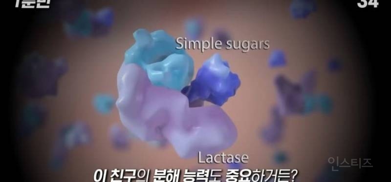 한국인이 유독 우유먹고 배아픈 이유 | 인스티즈