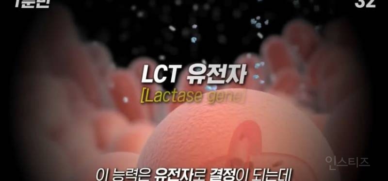 한국인이 유독 우유먹고 배아픈 이유 | 인스티즈