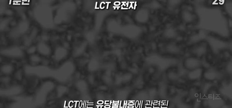 한국인이 유독 우유먹고 배아픈 이유 | 인스티즈
