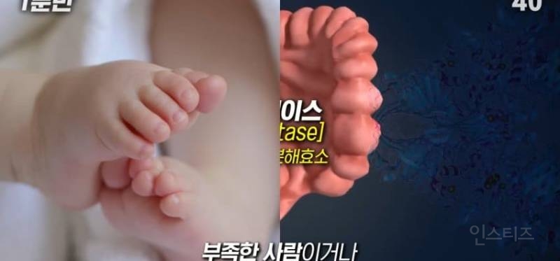 한국인이 유독 우유먹고 배아픈 이유 | 인스티즈
