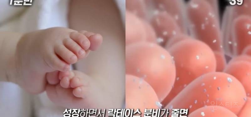 한국인이 유독 우유먹고 배아픈 이유 | 인스티즈