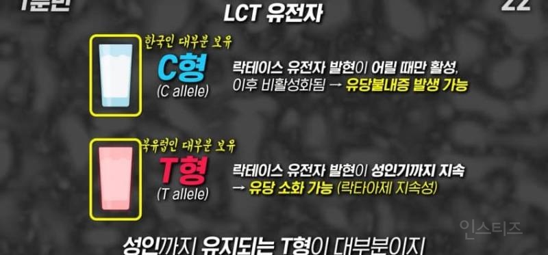 한국인이 유독 우유먹고 배아픈 이유 | 인스티즈