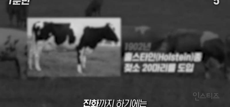 한국인이 유독 우유먹고 배아픈 이유 | 인스티즈