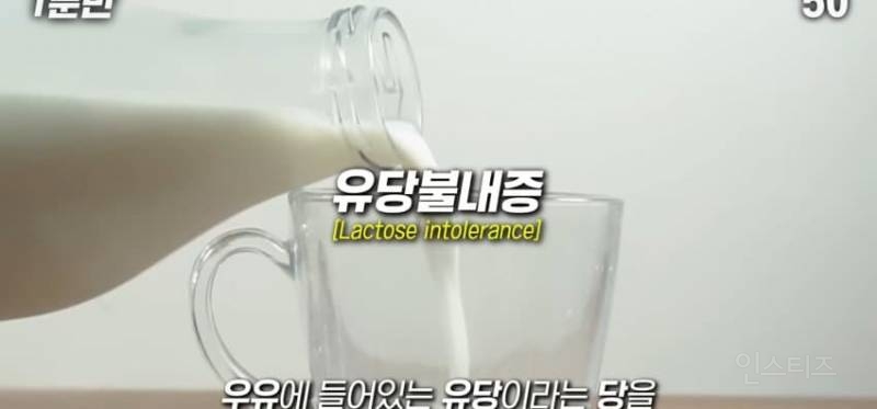 한국인이 유독 우유먹고 배아픈 이유 | 인스티즈