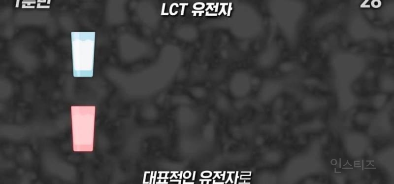 한국인이 유독 우유먹고 배아픈 이유 | 인스티즈