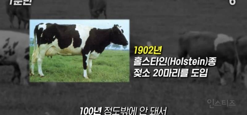 한국인이 유독 우유먹고 배아픈 이유 | 인스티즈