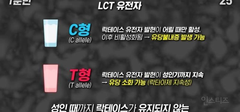 한국인이 유독 우유먹고 배아픈 이유 | 인스티즈