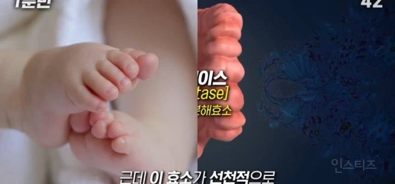 한국인이 유독 우유먹고 배아픈 이유 | 인스티즈