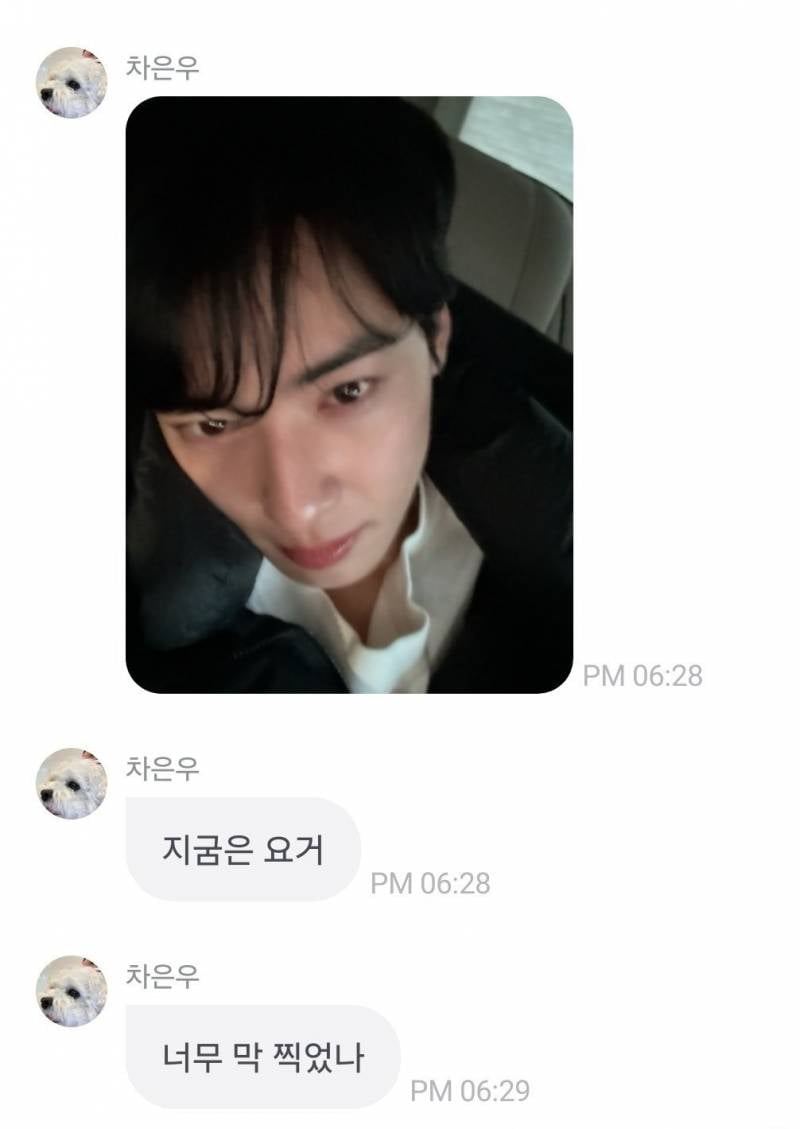 좀 많이 깬다는 차은우 현실 말투..JPG | 인스티즈
