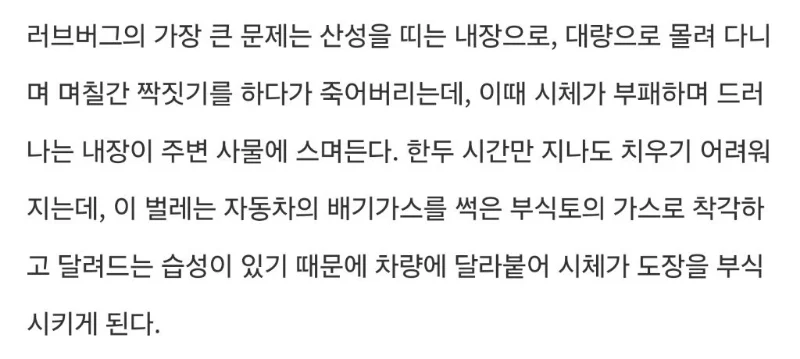 러브버그 방역이 어려운이유 | 인스티즈