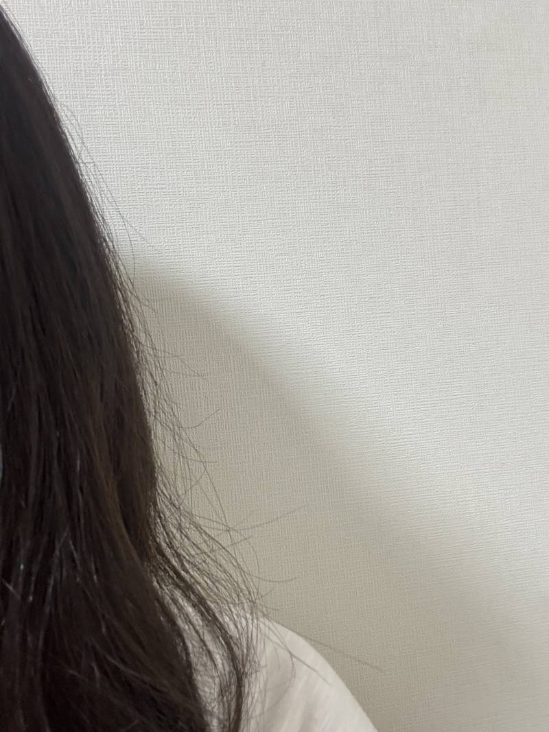 [잡담] 매직셋팅 방금하고 나왔는데 이거 맞냐 | 인스티즈