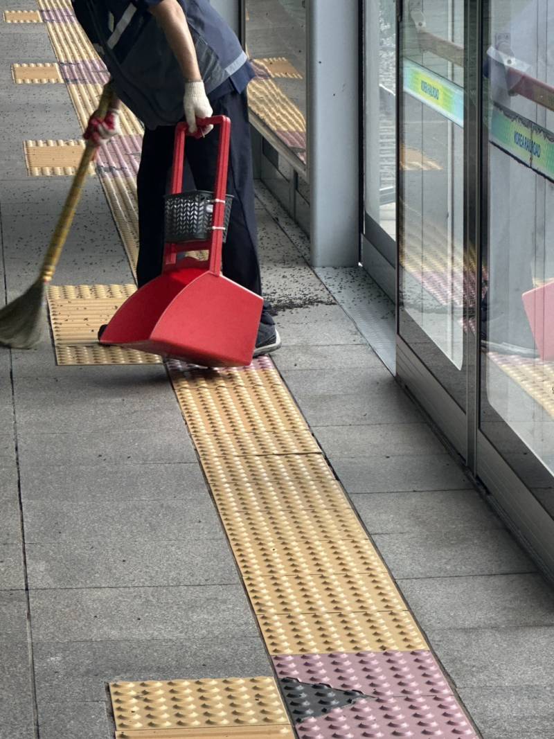 [잡담] 지방 살아서 러브버그 얼마나 심한지 궁금한 익들 와봐 | 인스티즈
