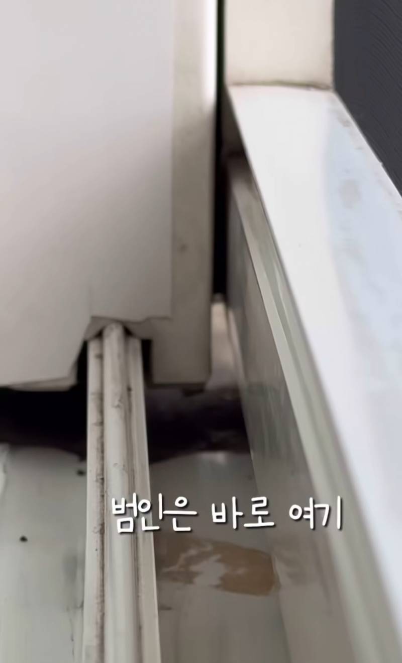 [잡담] 요즘 여기가 섹스충 집으로 유입되는 곳이래 | 인스티즈
