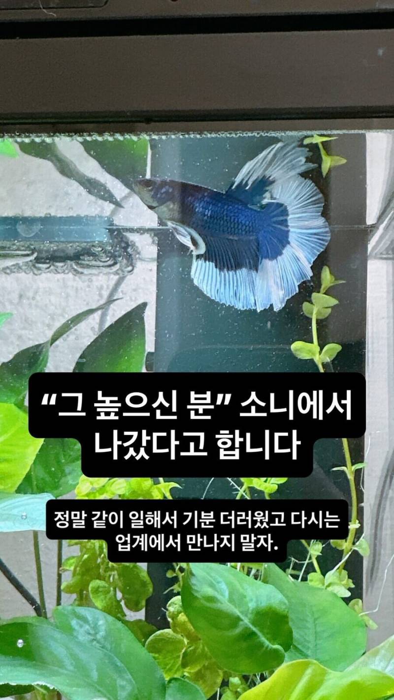 넷플 애니 초대박에 고위 관계자 근황.JPG | 인스티즈