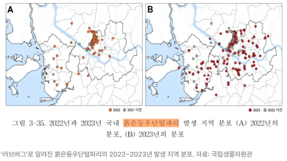 [잡담] 근데 서울 러브버그 이렇게 퍼진거 은평구 책임이 가장 큰거 맞지 않아?? | 인스티즈