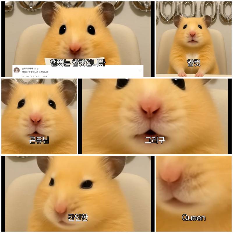 [잡담] 내가 릴스보고 잼있어서 캡쳐했오 | 인스티즈