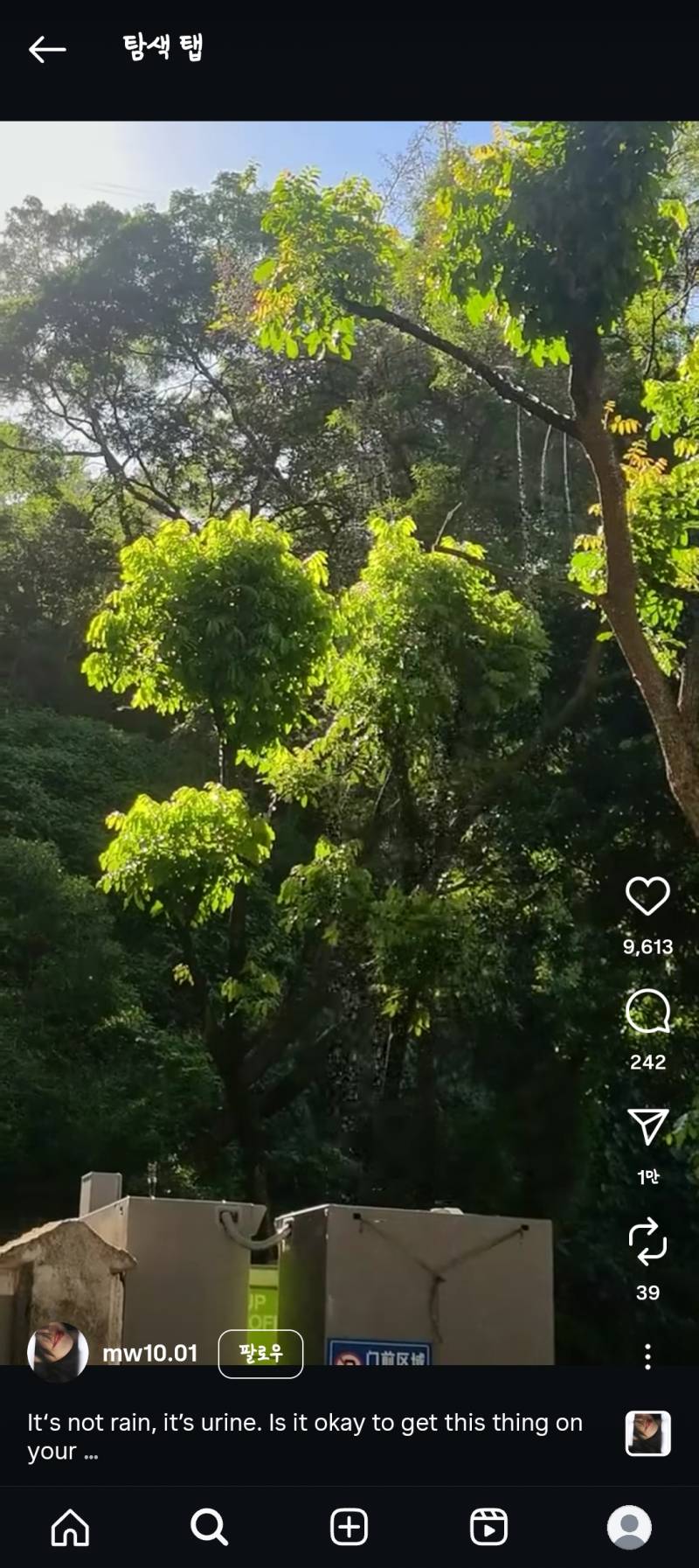[잡담] 진짜 매미 오줌 개많이싸네 | 인스티즈
